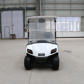 2-местный автомобиль для гольф-клуба Buggy Golf со светодиодной приборной панелью